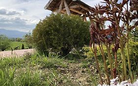 Bran Monte Crai Chalet
